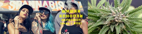шишки Алексеевка