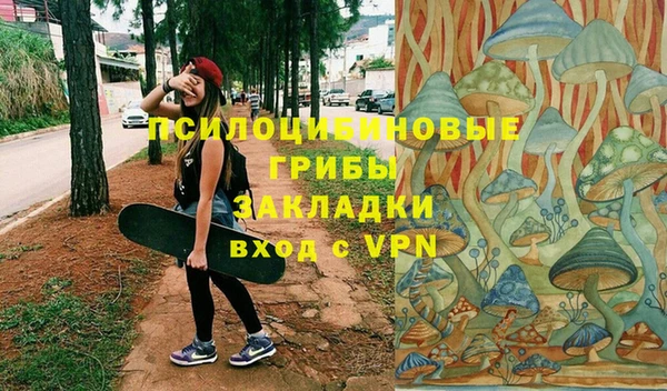 шишки Алексеевка