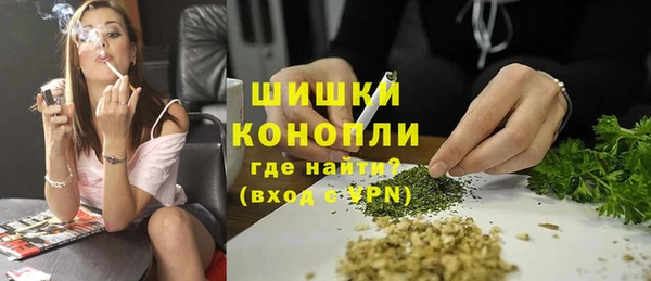 шишки Алексеевка