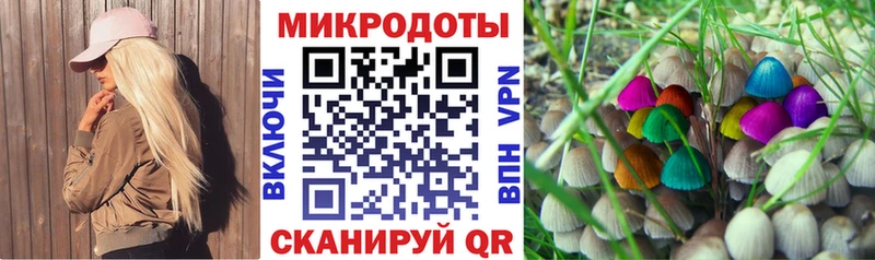 Галлюциногенные грибы Psilocybine cubensis  блэк спрут сайт  Черемхово 